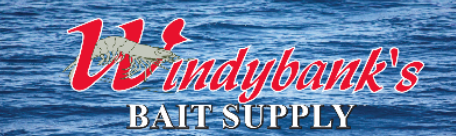 Windybanks fishing bait